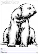 coloriage-ours-polaire-2